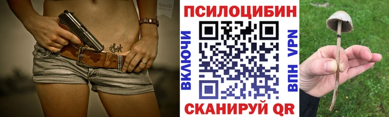 купить наркоту  ссылка на мегу вход  Галлюциногенные грибы мицелий  Шуя 